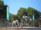 Safari Zoo Entrance